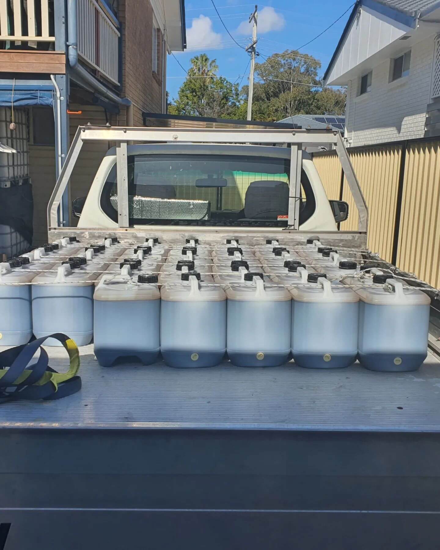 Buying More Molasses